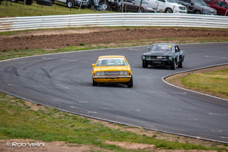 Cortina and Stang
