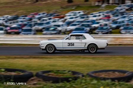 Mustang 351