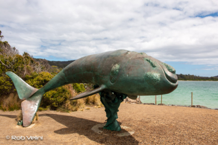 Bronze whale statue SW