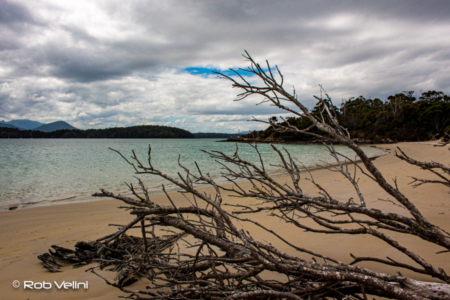 Death at Motts Beach