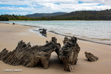 Motts Beach