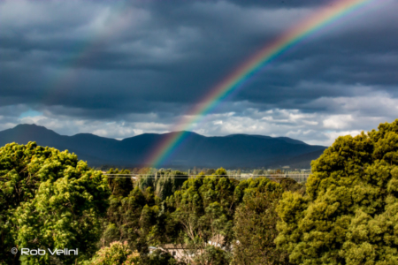 Sleeping Beauty Rainbow