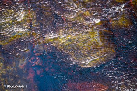 The colourfull river bed of the Huon