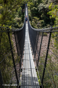 Suspension bridge across the Huon River